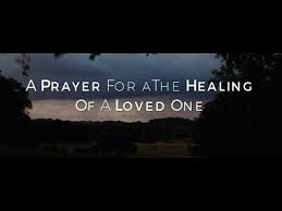 Your loving cat is rejuvenated, healed, and waiting for you to join them. A Prayer For Healing A Loved One Prayers Catholic Online