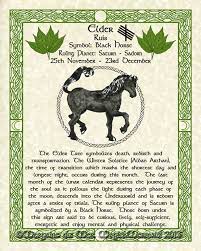 Pin On Tree Tarot