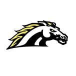 Perry Girls Varsity Volleyball @ Dansville