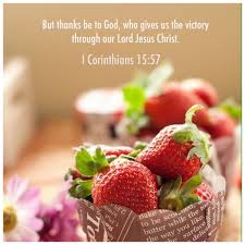  Pin On Bible Scriptures