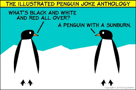What Is Black And White And Red All Over Joke Hiccup S Joke Funny P Funny Puns Haha Funny