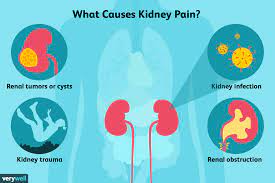 The kidneys are situated below the diaphragm, one on either side of the spine. Kidney Pain Causes Treatment And When To See A Doctor