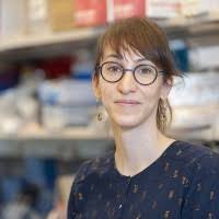 The Omar Abdel-Wahab Lab