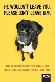 Don T Leave Your Pet In A Natural Catastrophe Animal Companions Pet Emergency Animal Lover Quotes