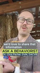 Rock Spring Veterinary Clinic