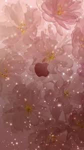 Not to be confused with the 18k yellow and rose gold casings of the apple watch edition collection, these are less intense, closer to champagne and rosé. Rose Gold Apple Wallpapers Top Free Rose Gold Apple Backgrounds Wallpaperaccess