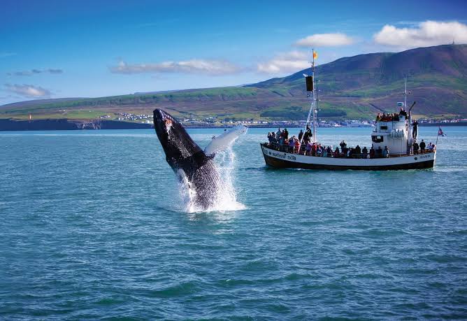 Iceland Family Nature Discovery — photo 3