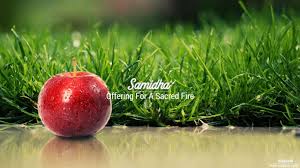 Before we start this next grow, we better get another lawn boy. à¤¸à¤® à¤§ Samidha Name Meaning In Hindi Samidha Luck Number Rashi Latest Indian Baby Girl Names