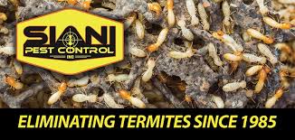 When pests invade, many individuals opt out of pest control isn't a job for an amateur. Services Siani Pest Control Inc