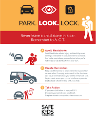 Image result for Automobile Safety