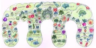 Pin By Racquel Martinez On Keyhole Beds Permaculture Permaculture Gardening Growing Food