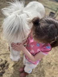 Check spelling or type a new query. Equine Assisted Therapy Family Counselling Centres