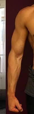 Their head comprises some essential organs that help in sensing things around and feeding. What Male Body Part Do Women Find Most Attractive Quora