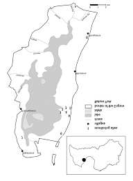 Image result for Sarcophrynium prionogonium