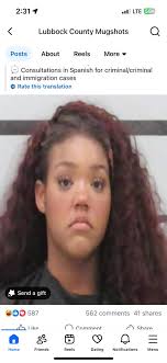 Terri Stein Employment Law