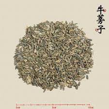 pin on pregnancy baby