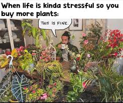 Bedford Garden Club (The) Bedford, Ohio.