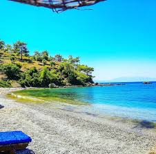 Walau bagaimanapun apabila keluar air mani, maka seseorang itu wajib mengangkat hadas. Yakamoz Pansiyon Mazi Hostel Reviews Mazikoy Turkey Tripadvisor
