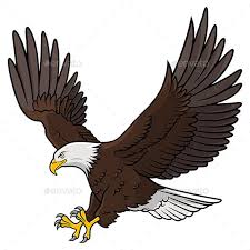 Pin By Ektkarakalem On Premium Graphics Content Bald Eagle Eagle Artwork Eagle Drawing