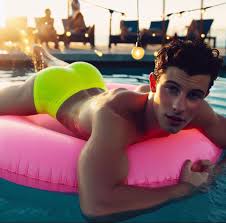 They Got Shawn Mendes Spread Wide Open