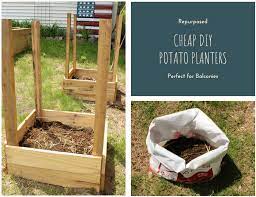 The potato planter is very easy to build — i took four pieces of 2x2in lumber that i scavenged from the pallet's thicker support pieces and used them as vertical corner posts. Cheap Diy Potato Planters Natural Living Homestead