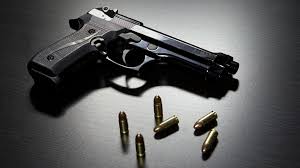 Image result for Gun