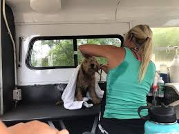 Pet spa store locator in all states. Bubbles Mobile Pet Spa 78 Photos 45 Reviews Pet Groomers Oceanside Ca Phone Number