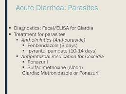 Diseases Of Small Intestine Ppt Download