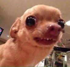 People turn on airdrop for work to quickly share files, and teens have used it to share photos and get around social media bans in class, business insider reported. Funny Pictures To Airdrop To Strangers