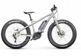 Raleigh Magnus Ie Electric Bike Motostrano Electricbikeoffroad Bike Bicycle Bicycle Maintenance