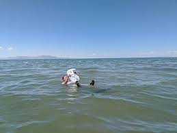 (it's not dirt, it's the extra salt that does it.) over a year ago Great Salt Lake Floating Festival World Record Attempt Utah State Parks