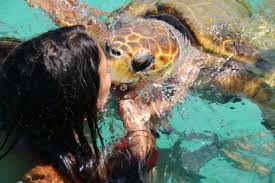 Voir plus d'idées sur le thème calédonie, nouvelle calédonie, ile du sud. Que Voir Et Faire En Nouvelle Caledonie Les 10 Immanquables