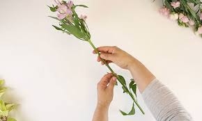 Vase — choose your favorite vase in which to display the flowers. How To Arrange Flowers Flower Arranging Video Flying Flowers
