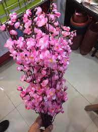 Menjadi bunga sakura dan bunga anggrek. Bunga Sakura Impor Dengan Harga Terjangkau