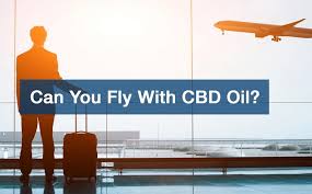Both airlines will transport dogs and cats as cargo in the hold but won't allow them to travel in the cabin, unless they are an assistance. Travel Tips Bringing Cbd Oil On A Plane The Nassau Bahamas Guardian