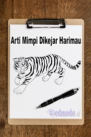 Mimpi dikejar buaya jadi jadian. Arti Mimpi Dikejar Harimau Putih Jinak Dan Jadi Jadian