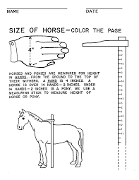 The problem with tapes is that they are light and floppy, and are hard to hold taut enough to get an accurate measure. Booklet Pg 4 How To Measure A Horse The Rest Of This Workbook Can Be Found At Http Www Pinterest Com Horseinte Horse Lessons Horse Camp Horse Riding Tips