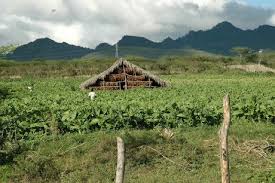 Famous for its tobacco | meaning, pronunciation, translations and examples. Vuelta Abajo Alchetron The Free Social Encyclopedia