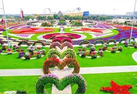 Pagi pagi minum susu ahh mantapp. Artis Malaysia Dubai Miracle Garden Taman Bunga Facebook
