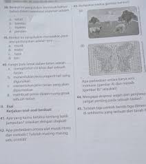 Berikut ini contoh alat musik ritmis berserta keterangan, gambar & cara memainkannya. Tolong Jawab No 42 43 44 45 Asal Jawab Auto Report Jawab Semua Yang Merasa Pintar Yaa Brainly Co Id