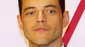 The Truth About Rami Malek's Twin Brother
