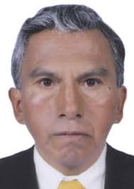 Ingresos de Otorongos Elecciones 2022