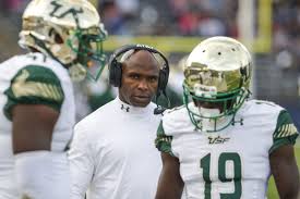 Image result for usf bulls football