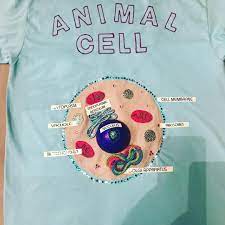 Browse through different shirt styles and colors. Miss5thscience On Instagram Had To Whip Up This Animal Cell T Shirt For Tomorrow S Class Project Day Not Too B Animal Cell Animal Cell Project Cells Project