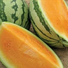 Pagesbusinessesfood & drinksupermarket/convenience storespecialist food shopazienda agricola carettivideos supernova seedless! Professional Pack Heirloom Yellow Skin Red Seedless Watermelon Seeds 5 Seeds Seeds Bulbs Rateshop Fruit Seeds