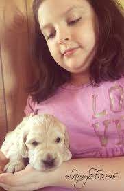 Weekly Update January 14, 2021