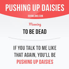 Pin On Flash Card