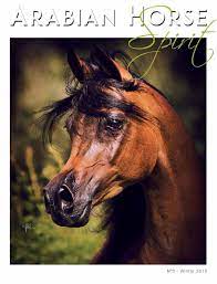 Gremio fb porto alegrense rs. Arabian Horse Spirit By Arabian Horse Spirit Issuu