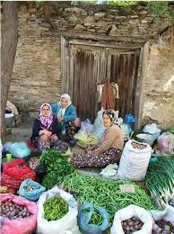 Anadolu Insani Anatolian People Panosundaki Pin