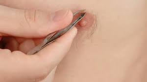 But with that risk comes great reward. Closeup Of Mans Hand Plucking Stock Footage Video 100 Royalty Free 1008564670 Shutterstock